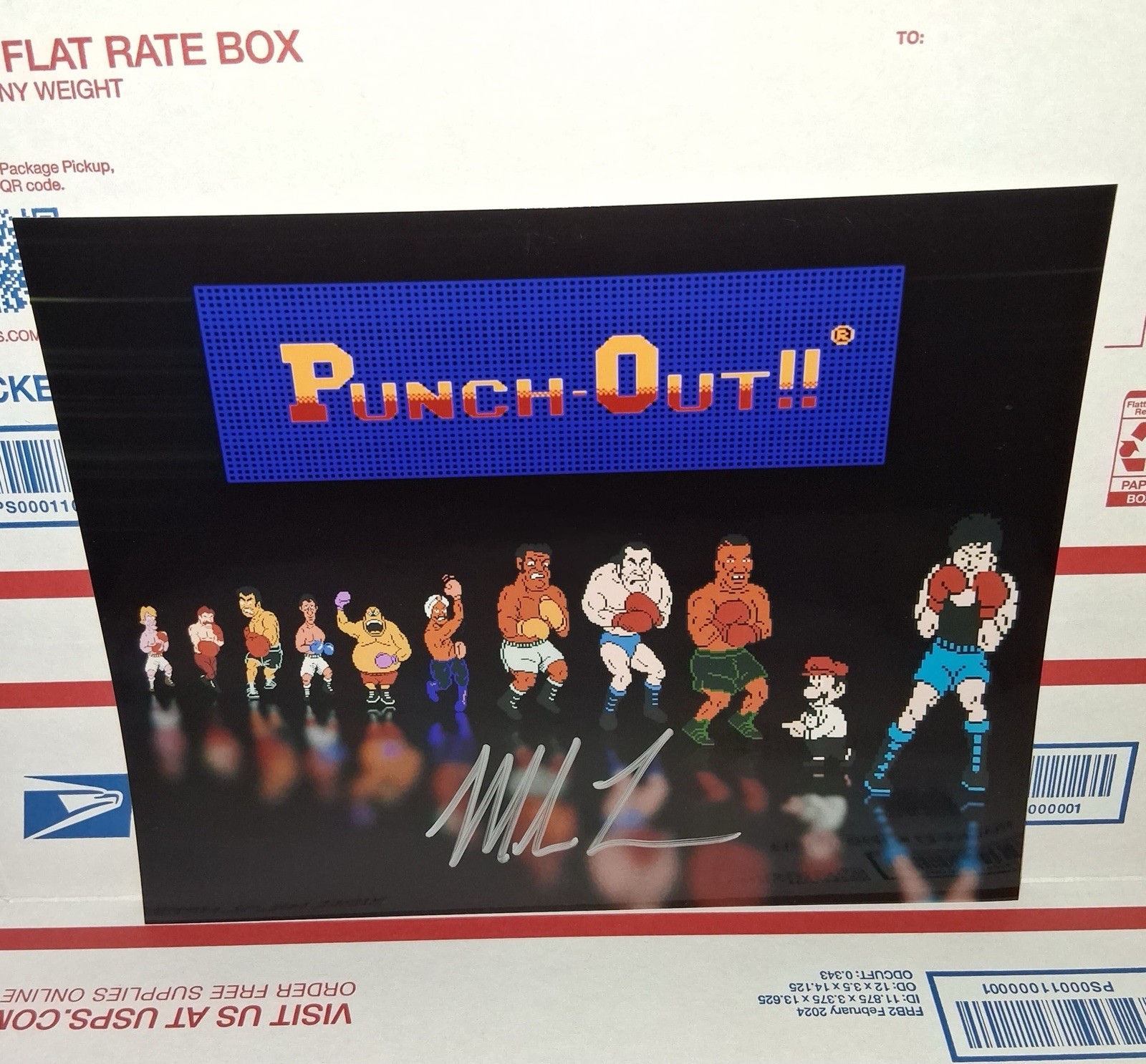 Mike Tyson Punch Out Autographed 8x10 Photo & COA