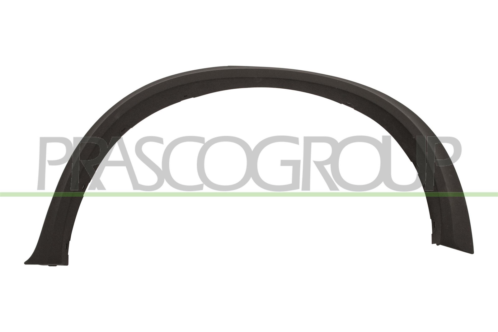Profilo Protettivo Parafango BMW X5 E70 Prasco BM8241584 Nero Zigrinato