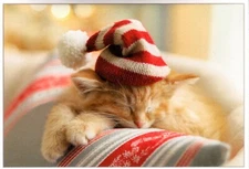 Merry Christmas Sleeping Tabby Kitty Cat Kitten In Hat Hallmark Greeting Card