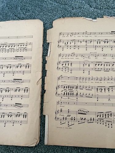 Vintage 1907 Carissima Waltz Ballad by Arthur A Penn Sheet Music - Picture 7 of 8