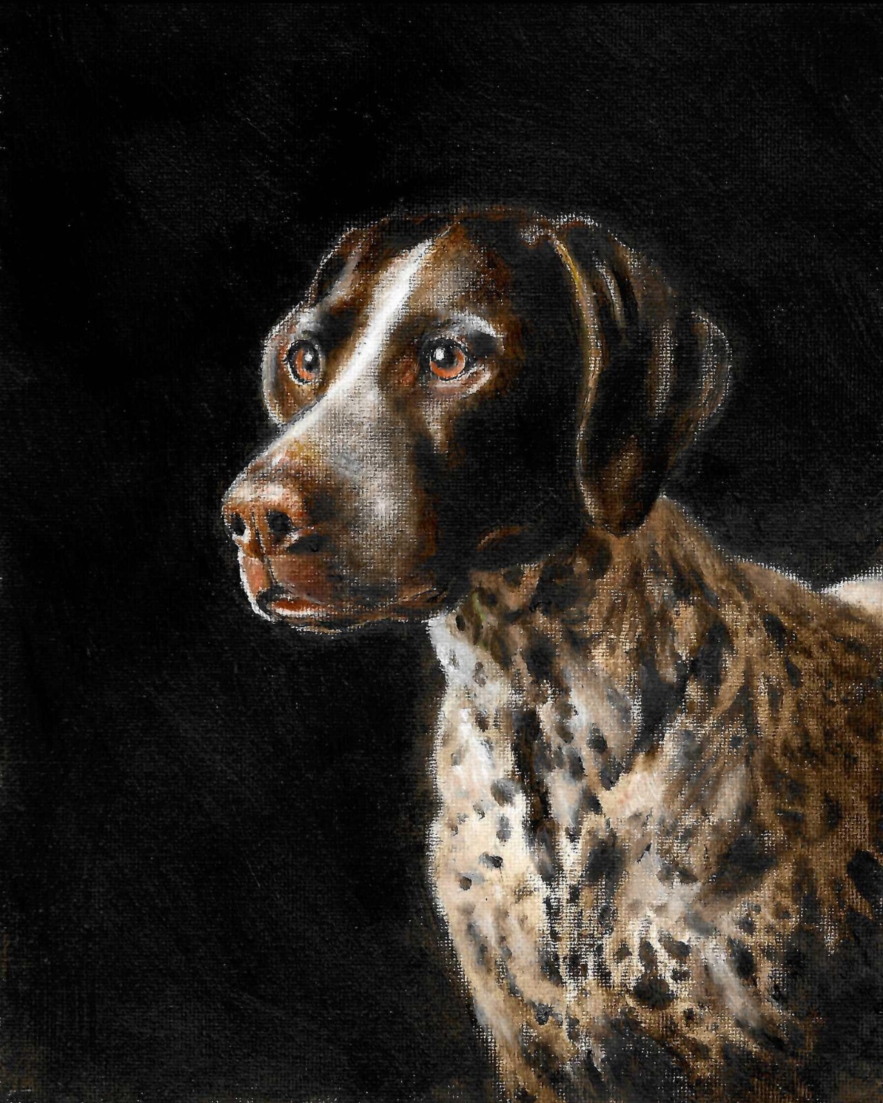 ✤ ORIGINAL Oil Dog Portrait Painting GERMAN SHORTHAIRED POINTER Signed Artwork