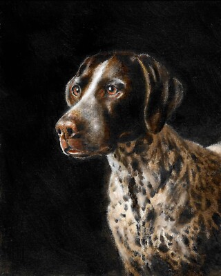   ORIGINAL Oil Dog Portrait Painting GERMAN SHORTHAIRED POINTER Signed Artwork