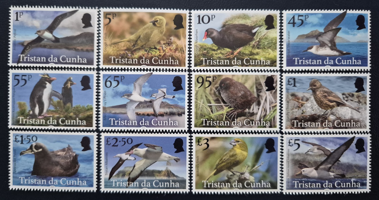 Tristan da Cunha 2025 /  Definitives - Birds of Tristan da Cunha  /  full set