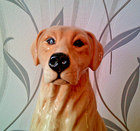 Bild 3 von 7