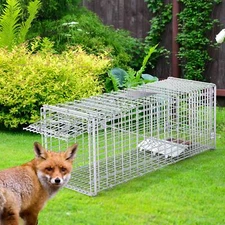 Live Animal Trap Cage Foldable and Humane for Catching Raccoons Foxes Coyotes