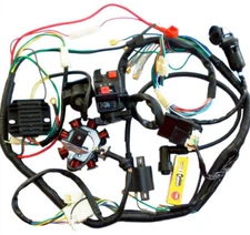 Complete Electric Wiring Harness 200cc 250CC Go kart  ATV Taotao Kazuma Buggy