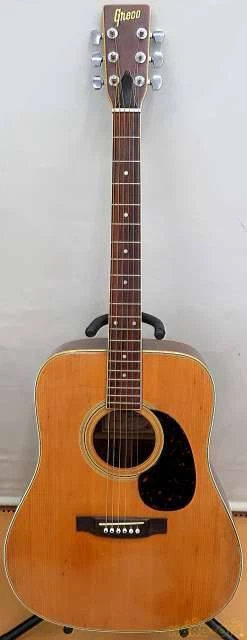 Fender f 2024 250 acoustic guitar