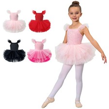 Girls Ballet Princess Leotard Recital Dress Stage Outfit Ruffle Briefs Costume
