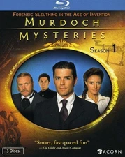 Murdoch Mysteries: Season 1 (Blu-ray)