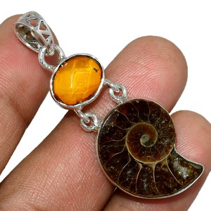 ammonite madagascar