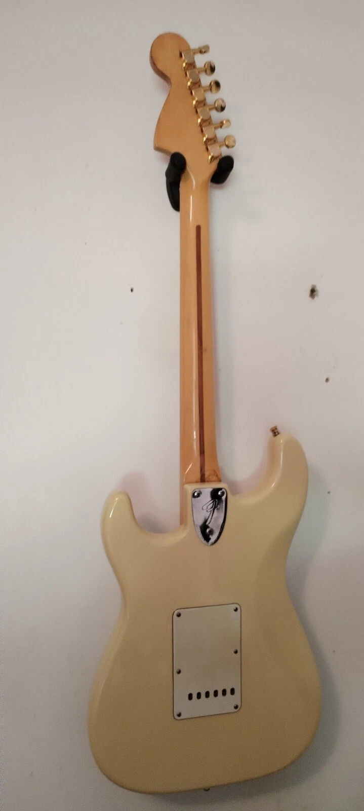 Picture 5 of 12