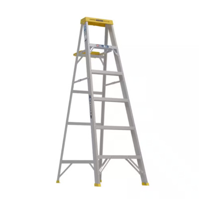 WERNER 6 Ft. Aluminum Step Ladder (10 Ft. Reach Height) with 250 Lb. Load Capaci