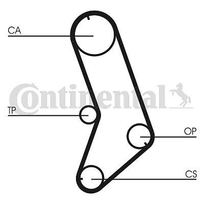 CONTITECH CT 647 Cinghie Distribuzione - Foto 3 di 4