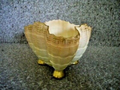 Antike englische Porzellan Royal Worcester Blush Elfenbein Muschel Schale ?1915