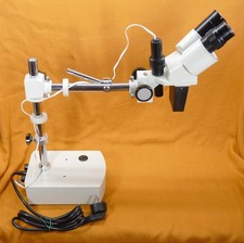 Stereomicroscopio Stereolupe S…