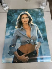 1978 Lynda Carter Sexy Pinup 14-594 Pro Art Vintage Wonder Woman Original Poster
