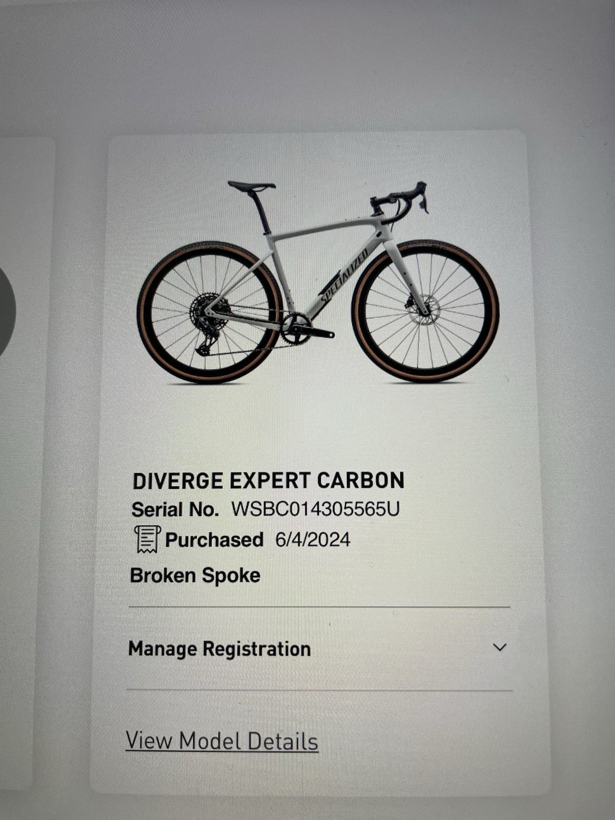 Specialized Diverge Expert 61 CM