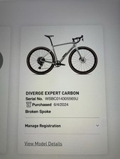 Specialized Diverge Expert 61 CM