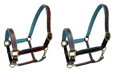 Equitem Leather Halter With Teal Padded Crown and Nose in Full, Cob or Pony