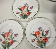 3 Noritake plate dish Nippon Toki Kaisha Spring Botanical Tulips 7.5” gold trim