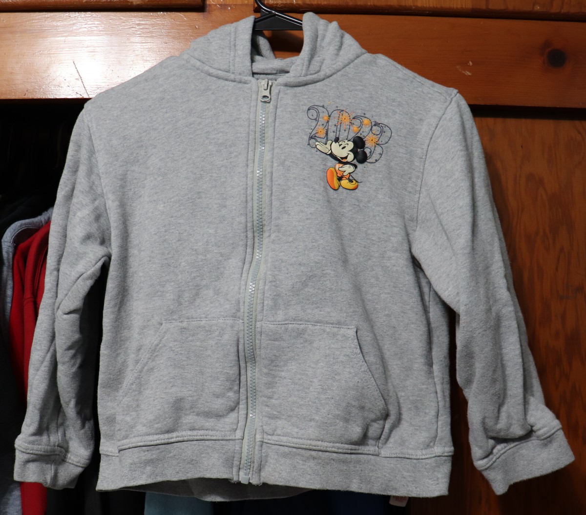 Disney Disneyland Resort 2023 Hoodie Mickey Mouse Gray Full
