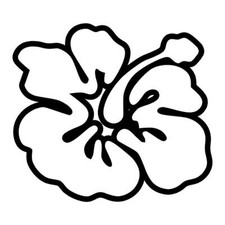 Large Hibiscus Flower  Stickers 150mm x 133mm Campervan Car Van Bumper Window