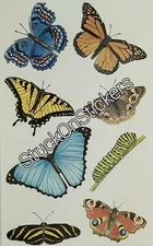 🦋  Mrs Grossman's BUTTERFLIES Studio Line Stickers Vintage Retired 2002