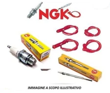 5773 Spark Plug (NGK NTK)