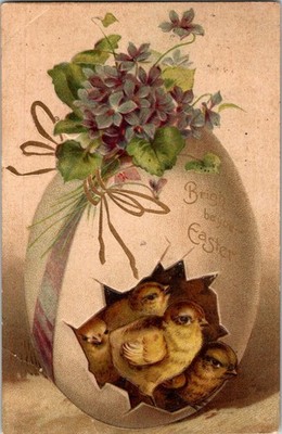 1904 Easter Postcard Chicks Hatching Egg Violets Embossed International Art
