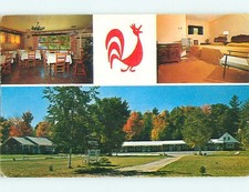 Unused Pre-1980 RED ROOSTER MOTEL & RESTAURANT Bethel Maine ME : 60k cards s4486