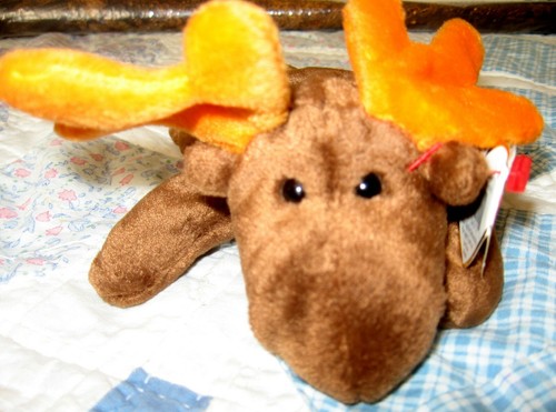 Original ty Beanie Baby Chocolate™ Moose – 1993 NWT Red Star - Picture 4 of 6