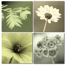 Bild Fotodruck Holzfaserplatte Wandbild 4er Set einfache Montage Motiv Flowers
