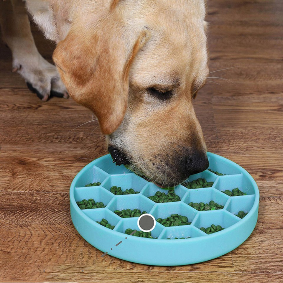 Pet Slow Food Bowl Dog Lick Pad Feeding Plate Puzzle Feeder eBay