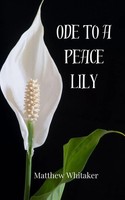 Matthew Whitaker | Ode To A Peace Lily | Taschenbuch | Englisch (2025)