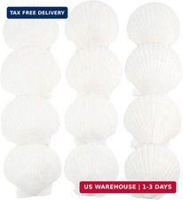 12 PCS Scallop Shells Natural Seashell, 4" to 5" White Scallop Shells Large Seas