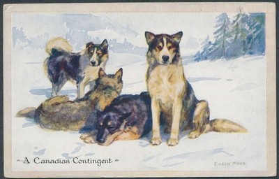 Kanadische Schlittenhunde Postkarte Künstlerin Eileen Hood Hodder & Stoughton PCD9
