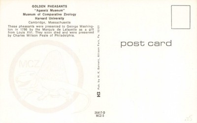 Postcard George Washington Golden Pheasants 13-star Flag Harvard