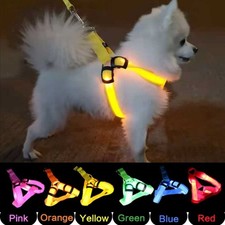 USB Rechargeable Chest Harness LED Pet Dog Glow Flashing Light Up Night Safety~