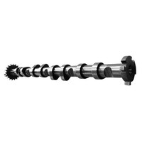 Einlass Nockenwelle Einlassnockenwelle FüR Audi A3 A4 VW Golf V Seat Skoda