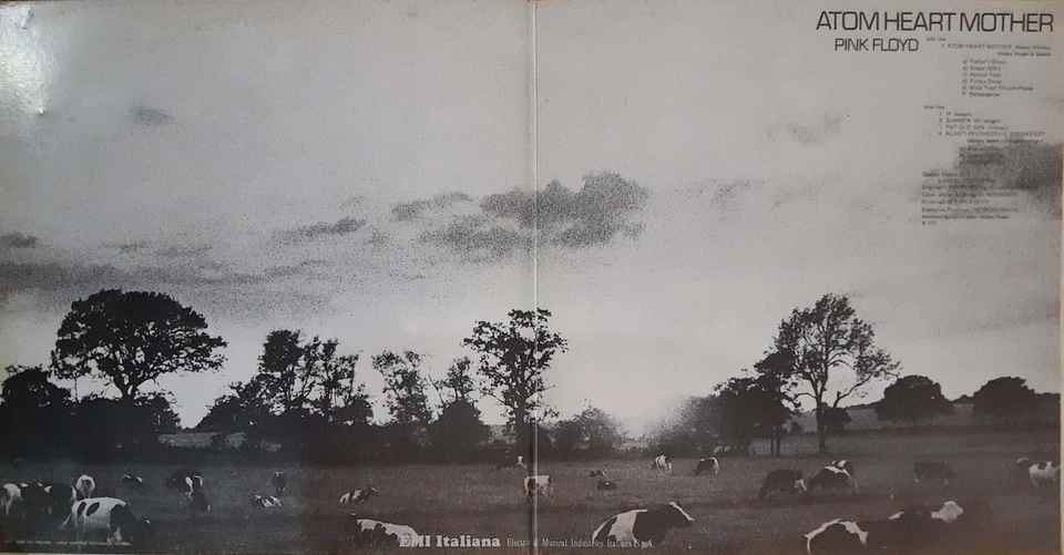 vinili 33 giri pink floyd come nuovi - Immagine 2 di 4