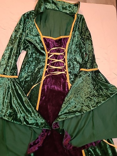 Women's Disney Hocus Pocus Winifred Sanderson Costume LARGE Complete Robe Wig - Picture 5 of 15