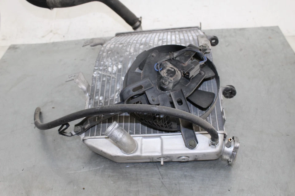 03-04 Suzuki GSX-R1000 GSXR 1000 радиатор двигателя охладитель охлаждающей жидкости OEM 2004 - Изображение 4 из 4