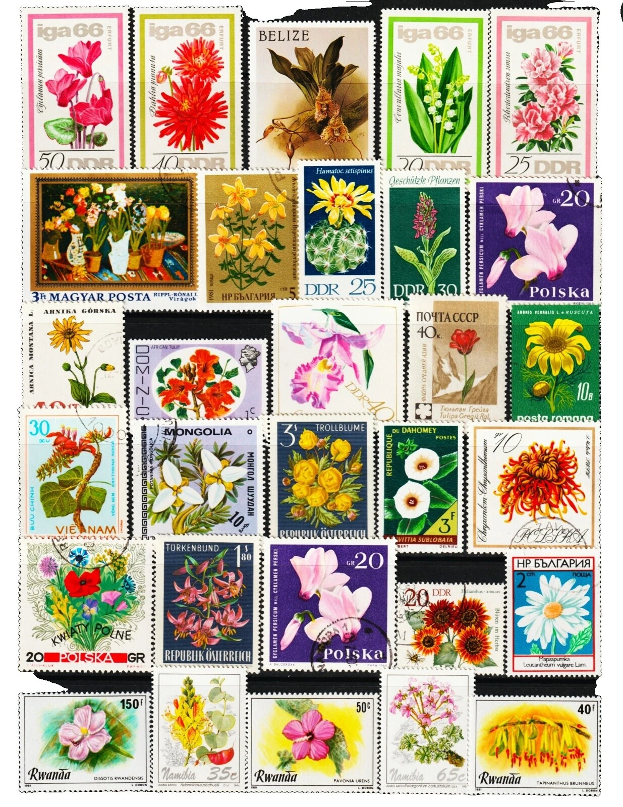 Flowers Stamp Collections & Lots