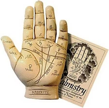 Palmistry Hand Model Resin Sculpture Fortune Telling Palm Reading with Beige 