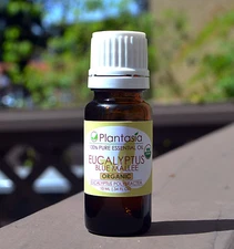 Eucalyptus Blue Mallee Organic Essential Oil fm Australia 100% Pure by Plantasia
