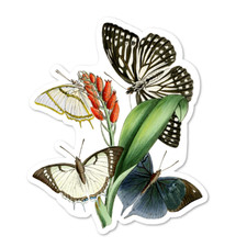 Butterflies Botanical Vinyl Sticker, Water Resistant, Scrapbooking, Laptop