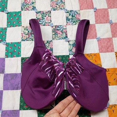 Paramour by Felina Angie Front Close Minimizer Bra Size 34DDD Purple Embroidered