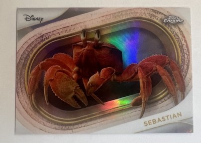 2025 T C Disney Sebastian Refractor