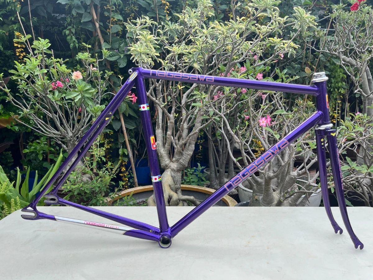 Nagasawa frame for sale hot sale