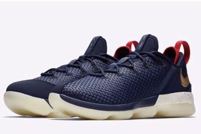 lebron xiv low